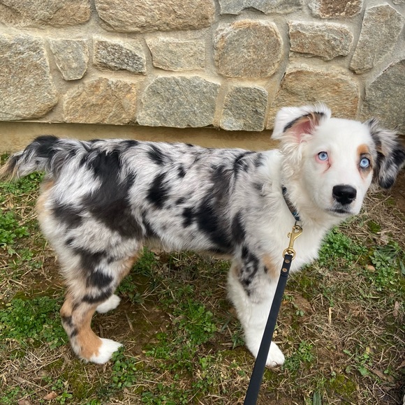 Meet your Posher, Brittney - Picture 2 of 3